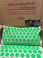 Img 20250814 wa0090
